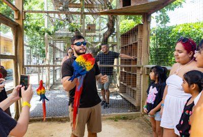 Cuando la herramienta no basta: La historia de AJS Monkeys & Sloths